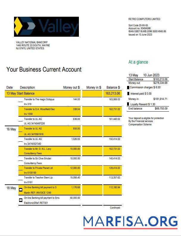 Blank Valley National Bank business statement Word and PDF template
